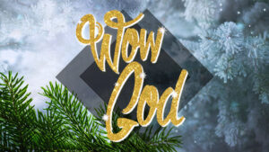 Christ-Journey-Church-Wow God series